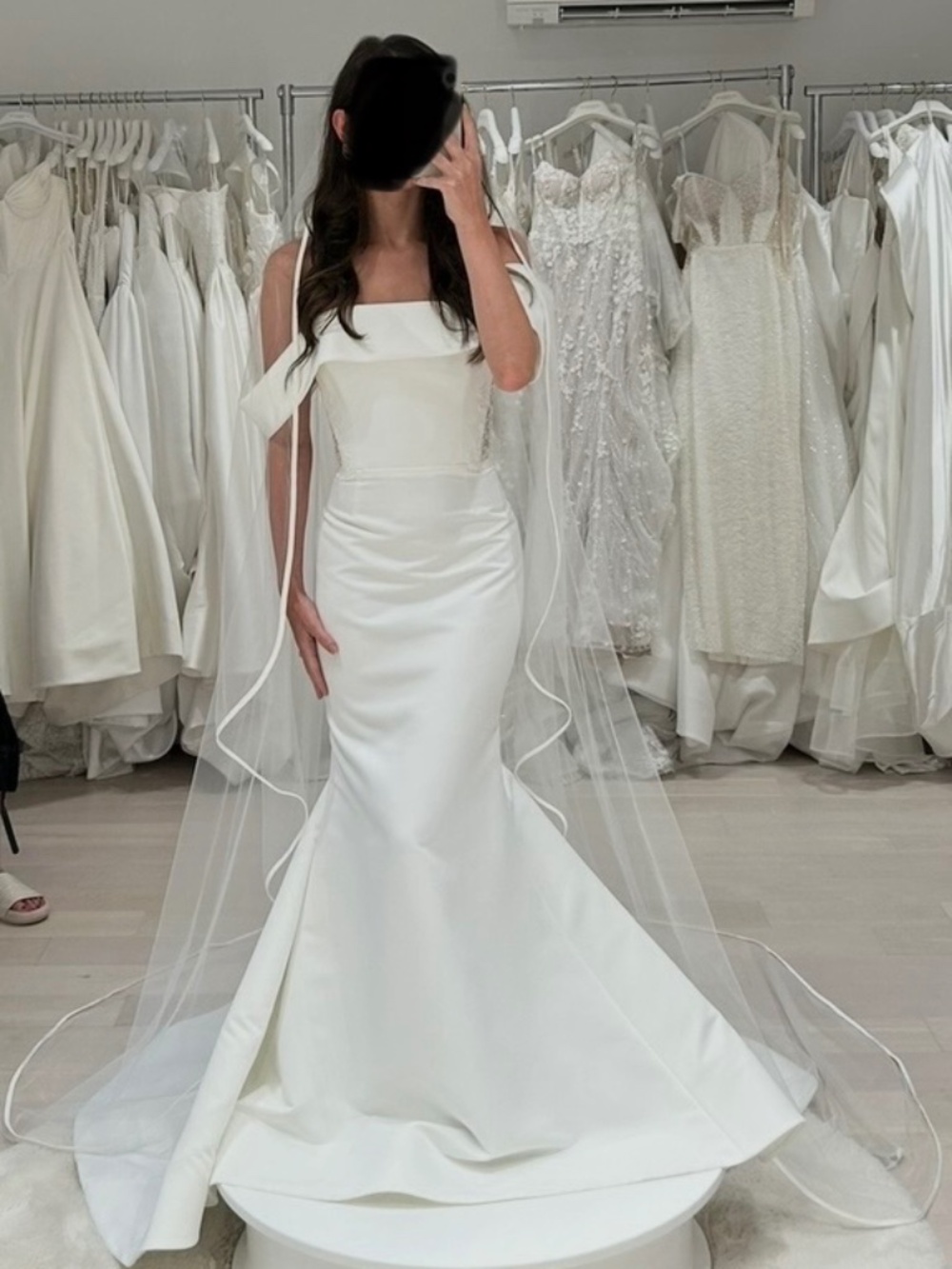 **BRAND NEW** **NEVER WORN** WEDDING DRESS AND VEIL